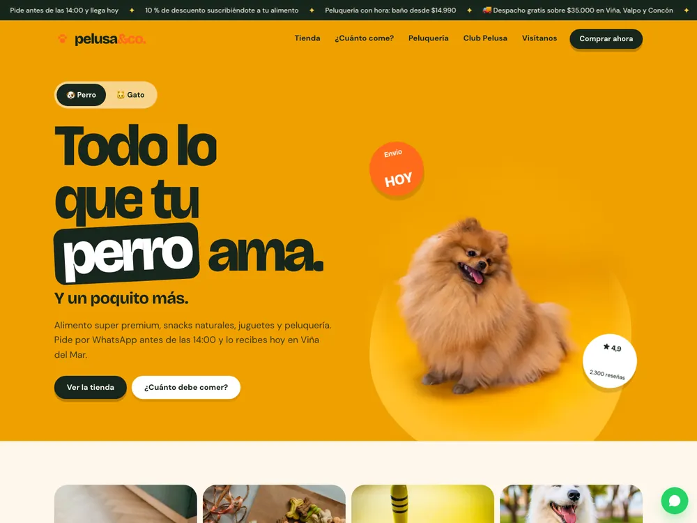 Portada de Pelusa & Co.